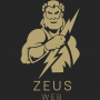 Веб студия Zeusweb